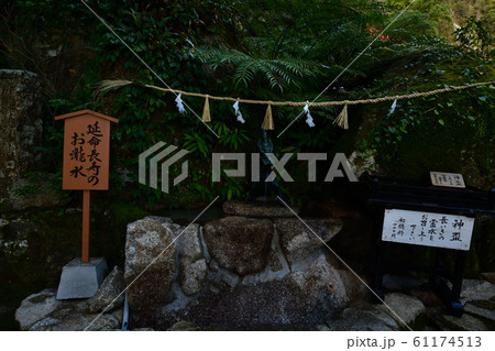 那智滝より 61174513