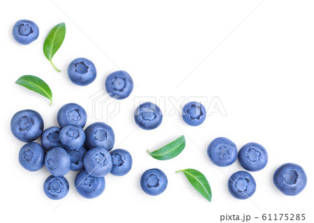 fresh ripe blueberry with leaf isolated on white background with copy space for your text. Top view. Flat lay pattern fresh ripe blueberry with leaf isolated on white background with copy space for your text. Top view. Flat lay pattern 61175285