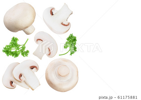 Fresh mushrooms and slices isolated on white background with copy space for your text. Top view. Flat lay. Fresh mushrooms and slices isolated on white background with copy space for your text. Top view. Flat lay. 61175881