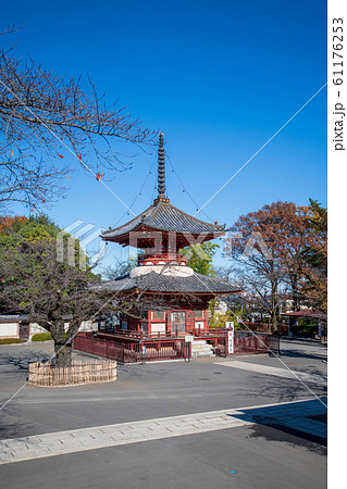 喜多院 多宝塔 埼玉県川越市 喜多院 多宝塔 埼玉県川越市 61176253