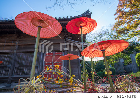 喜多院 境内 傘祭り 埼玉県川越市 喜多院 境内 傘祭り 埼玉県川越市 61176389