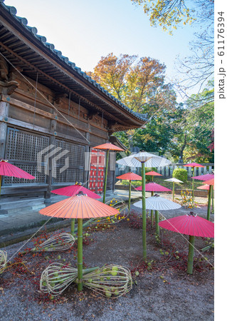 喜多院 境内 傘祭り 埼玉県川越市 喜多院 境内 傘祭り 埼玉県川越市 61176394