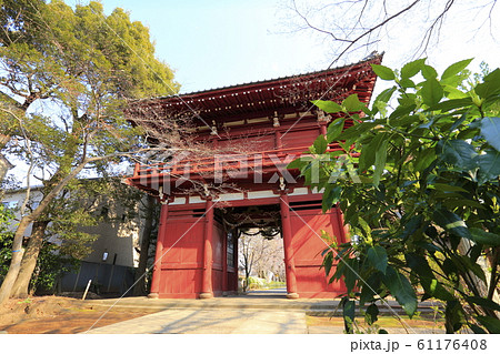 本土寺 仁王門と門にかかる数珠  本土寺 仁王門と門にかかる数珠  61176408