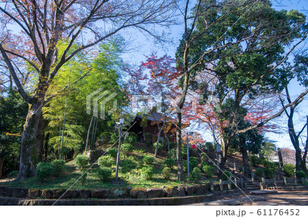 喜多院 境内 埼玉県川越市 喜多院 境内 埼玉県川越市 61176452