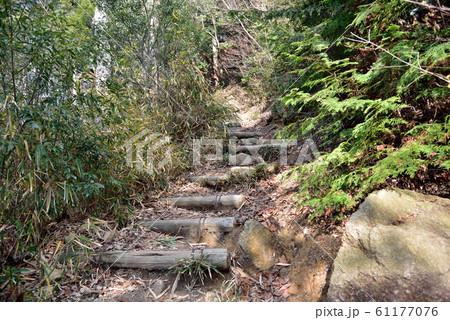 六甲山系稲妻坂 六甲山系稲妻坂 61177076