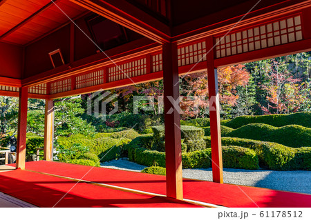 滋賀県 紅葉の大池寺 枯山水の蓬莱庭園 滋賀県 紅葉の大池寺 枯山水の蓬莱庭園 61178512