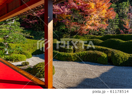 滋賀県 紅葉の大池寺 枯山水の蓬莱庭園 滋賀県 紅葉の大池寺 枯山水の蓬莱庭園 61178514