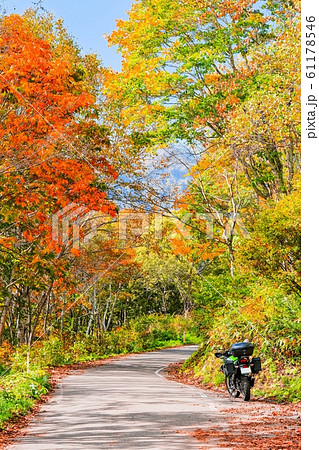 ツーリング （紅葉） 61178546