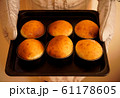 焼き立てのバンズ 61178605