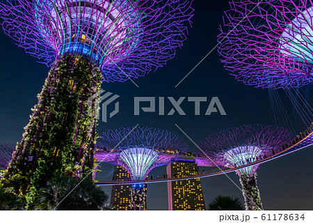 シンガポール　ガーデン・バイ・ザ・ベイの夜景　ライトアップ 61178634