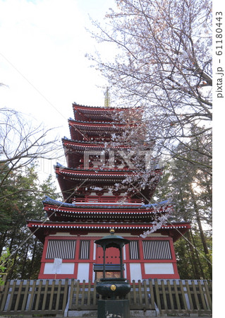 本土寺　五重塔　千葉県松戸市　 61180443
