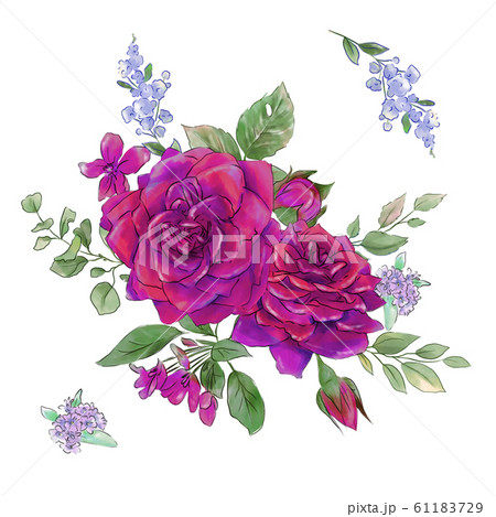 A large set of watercolors tender roses super quality. 61183729