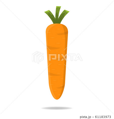 Fresh Carrot Vegetable isolated on white 61183973
