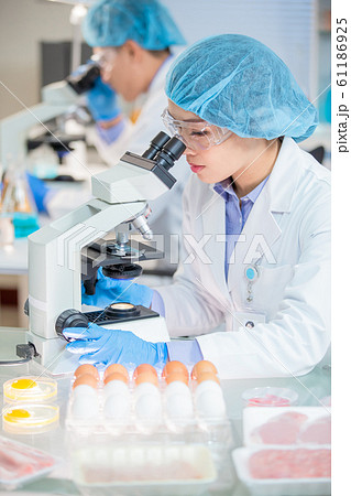 Food Safety Concept Food Safety Concept 61186925