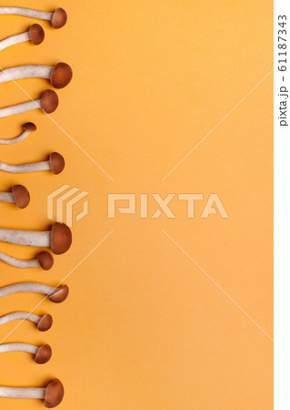 Yellow autumn background with mushrooms, frame, blank for advertising, place for text 61187343