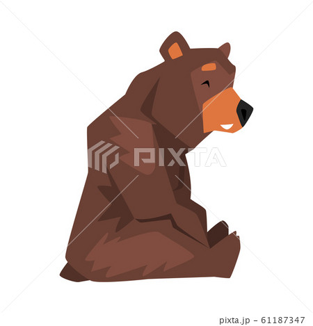 Sitting Brown Grizzly Bear Wild Animal のイラスト素材