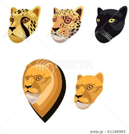 African cat portrait set made in unique simple cartoon style. Heads of cheetah, leopard or jaguar, black panther, lion and lioness. Isolated icon collection for your design African cat portrait set made in unique simple cartoon style. Heads of cheetah, leopard or jaguar, black panther, lion and lioness. Isolated icon collection for your design 61188965