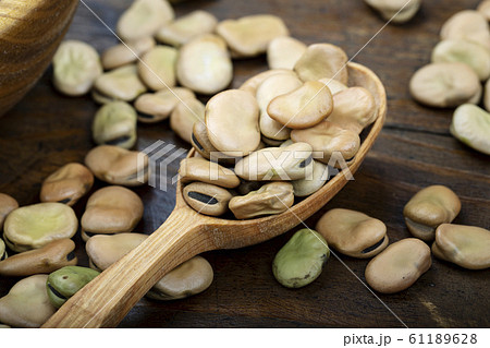dry broad beans in a spoon 61189628