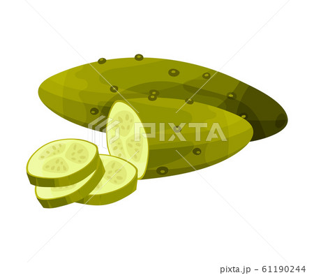 Cucumbers Fresh Vegetables, Vegetarian Food for Healthy Diet, Sandwich or Burger Ingredient Vector Illustration Cucumbers Fresh Vegetables, Vegetarian Food for Healthy Diet, Sandwich or Burger Ingredient Vector Illustration 61190244