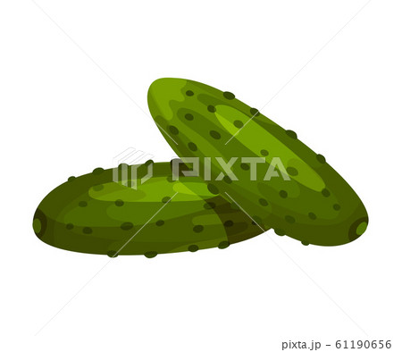 Cucumbers Fresh Vegetables, Organic Vegetarian Food for Healthy Diet Vector Illustration 61190656