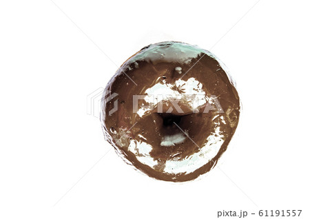 Delicious donut with glossy chocolate mirror glaze isolated on white background by clipping. Top view Delicious donut with glossy chocolate mirror glaze isolated on white background by clipping. Top view 61191557