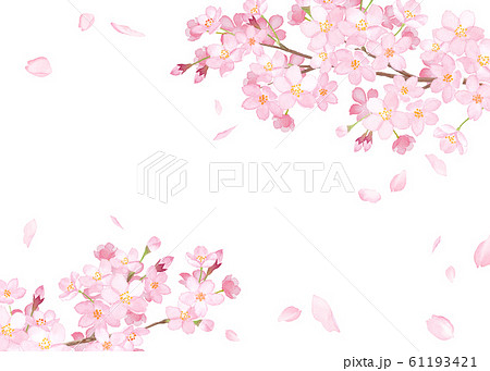 春の花 さくらと散る花びらのフレーム 水彩イラストのトレースベクターのイラスト素材