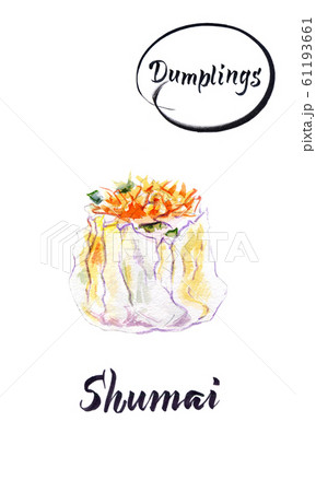 Asian dumpling Shumai watercolor illustration 61193661