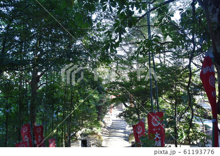 愛宕神社　大稲荷神社　小田原市 61193776