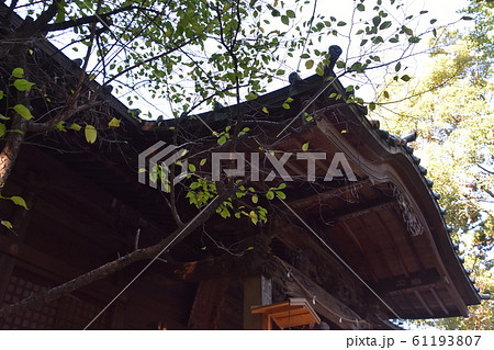 愛宕神社　大稲荷神社　小田原市 61193807
