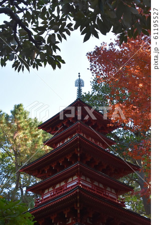 紅葉の松籟庵　三重塔　茅ヶ崎市　 61195527