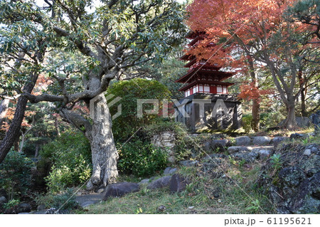 紅葉の松籟庵　三重塔　茅ヶ崎市　 61195621