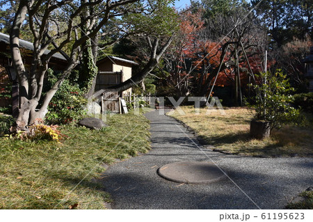 紅葉の松籟庵　茅ヶ崎市　 61195623