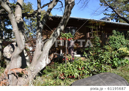 秋の松籟庵　茅ヶ崎市　 61195687