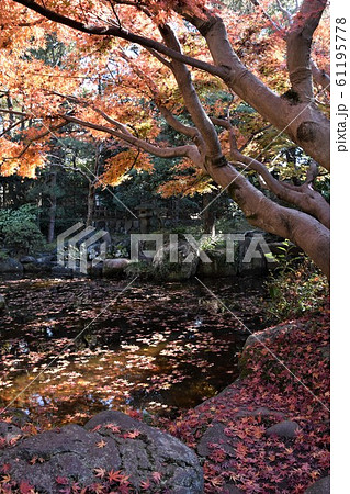 紅葉の松籟庵　茅ヶ崎市　 61195778