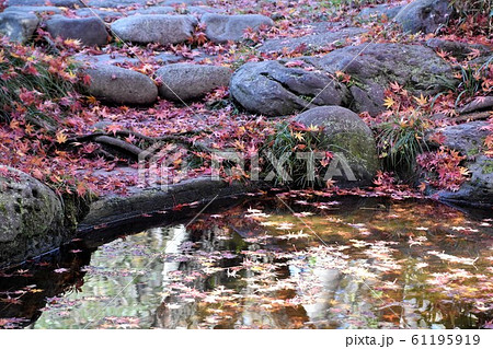 紅葉の松籟庵　茅ヶ崎市　 61195919