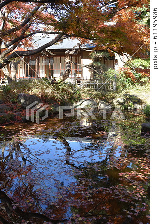 紅葉の松籟庵　茅ヶ崎市　 61195986