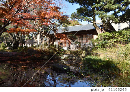 紅葉の松籟庵　茅ヶ崎市　 61196246