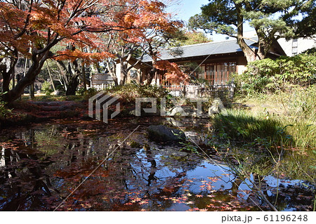 紅葉の松籟庵　茅ヶ崎市　 61196248