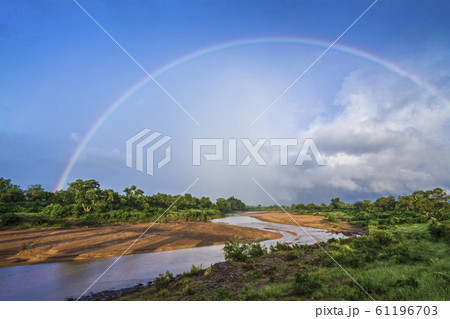 Scenery in Shingwedzi river in Kruger National Scenery in Shingwedzi river in Kruger National 61196703