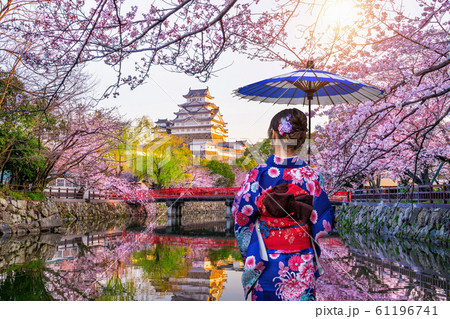 Asian woman wearing japanese traditional kimono looking at cherry blossoms and castle in Himeji, Japan. 61196741