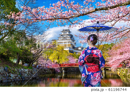 Asian woman wearing japanese traditional kimono looking at cherry blossoms and castle in Himeji, Japan. 61196744