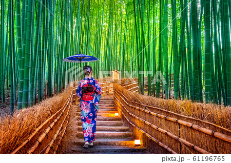 Bamboo Forest. Asian woman wearing japanese traditional kimono at Bamboo Forest in Kyoto, Japan. Bamboo Forest. Asian woman wearing japanese traditional kimono at Bamboo Forest in Kyoto, Japan. 61196765