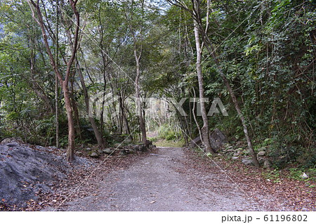 タロコ国家公園 空 エーテル 61196802