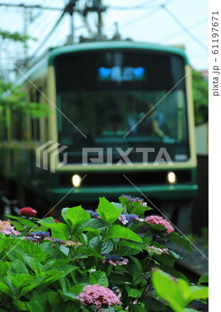 江ノ電とアサガオ 61197671