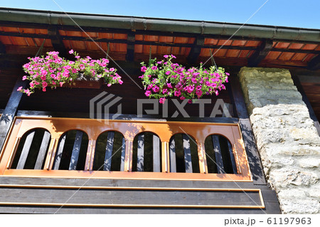 Flowers on the balcony of the old house in Montenegro 61197963