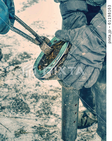 Removing hoof shoes. Blacksmith is getting of worn 61198163