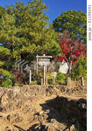 紅葉の天覧山山頂 紅葉の天覧山山頂 61199201