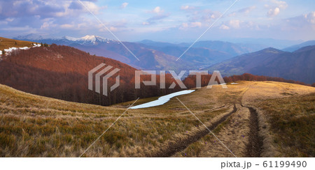 Spring in the mountains 61199490