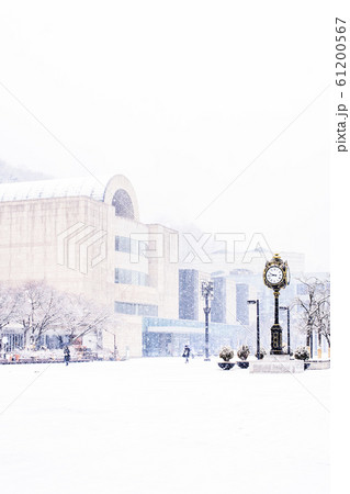 冬 目 スポット 61200567