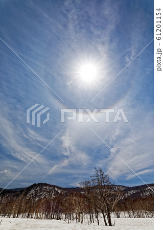 残雪の尾瀬ヶ原と光環 61201154